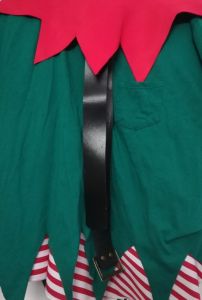 Adult Female Costumes to Hire - Elf - Lady - Stripe R&W skirt